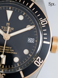 Tudor Black Bay S&G 79733N-8